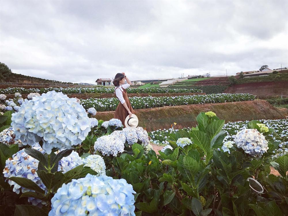 Top 8 thiên đường du lịch giúp bạn thoát khỏi cái lạnh miền Bắc-5