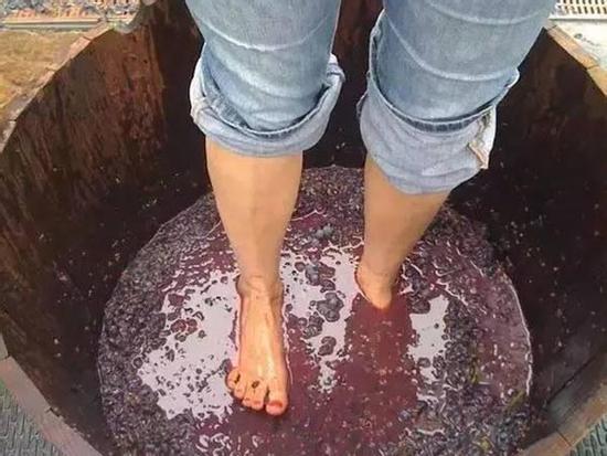 3 'món' bị người làm dẫm đạp bằng chân nhưng ai cũng ăn thậm chí là ăn hằng ngày