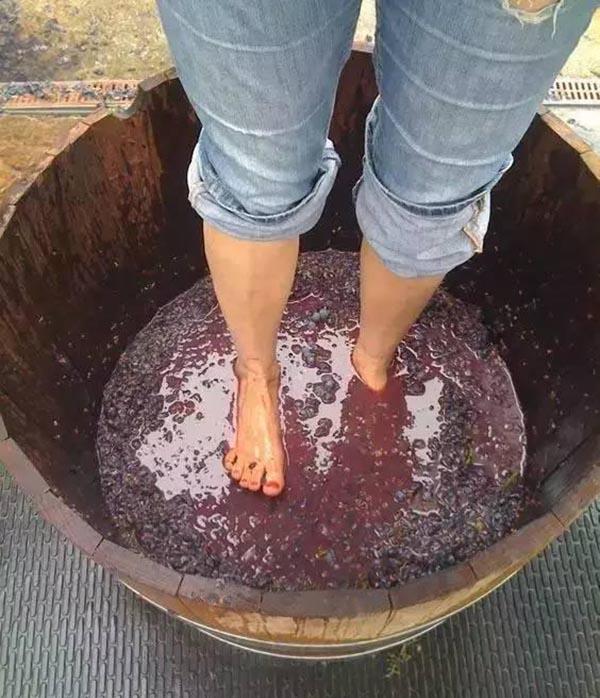 3 món bị người làm dẫm đạp bằng chân nhưng ai cũng ăn thậm chí là ăn hằng ngày-2