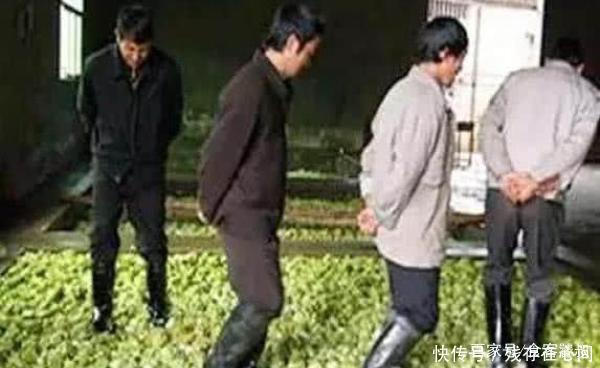 3 món bị người làm dẫm đạp bằng chân nhưng ai cũng ăn thậm chí là ăn hằng ngày-3