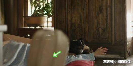 Minh Lan truyện của Triệu Lệ Dĩnh hot đến mấy vẫn bị soi lỗi sai ngớ ngẩn-5