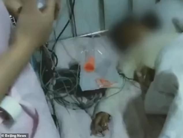 Con gái đi học về với chiếc quần đầy máu, gặng hỏi gia đình phát hiện sự thật gây phẫn nộ-3