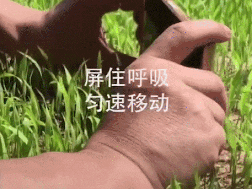 Quay phim là một nghệ thuật, còn người quay phim là một nghệ sĩ Quay phim là một nghệ thuật, còn người quay phim là một nghệ sĩ
