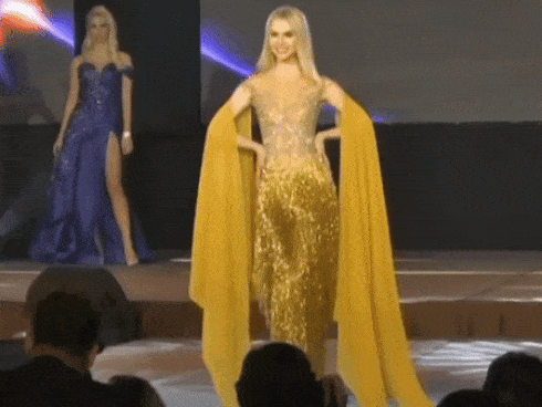 Top 15 trang phục dạ hội đẹp xuất sắc đêm thi Miss Intercontinental 2018