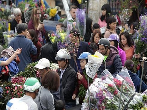 Clip: Mách bạn 20 loài hoa nên trưng trong nhà dịp Tết-1