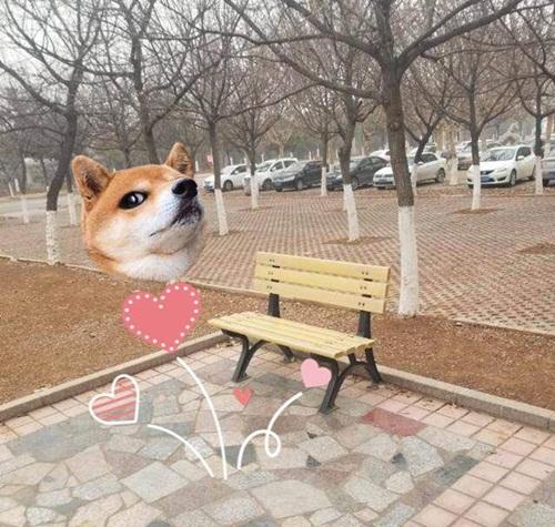 Cặp sinh viên diễn cảnh nóng ngay trong khuôn viên trường học gây phẫn nộ-2