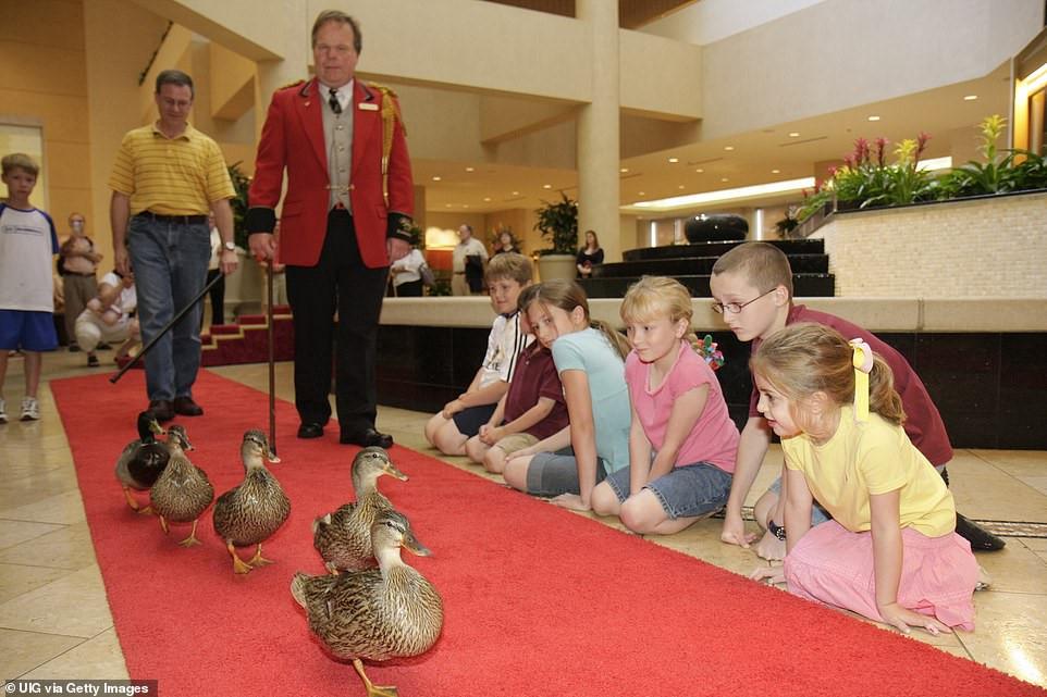 Cuộc chiến ném cam và 10 lễ hội quái đản nhất thế giới-10