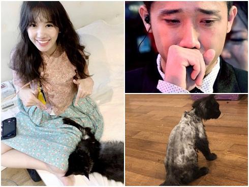 NHÀ SẮP CHÁY: Chẳng những không kín miệng khi ngắm trai 6 múi, Hari Won còn cố tình gọi hồn Trấn Thành để trêu điên-6