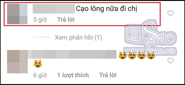 Xúi dại Hari Won cạo sạch lông mèo 3.000 USD lần nữa, có vẻ fan rất thích xem cảnh cháy nhà của cô và Trấn Thành?-6