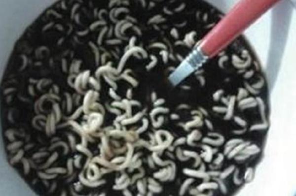 4 món ăn kỳ dị nhất hành tinh, chỉ có siêu nhân mới dám ăn nổi đến món thứ 2-2