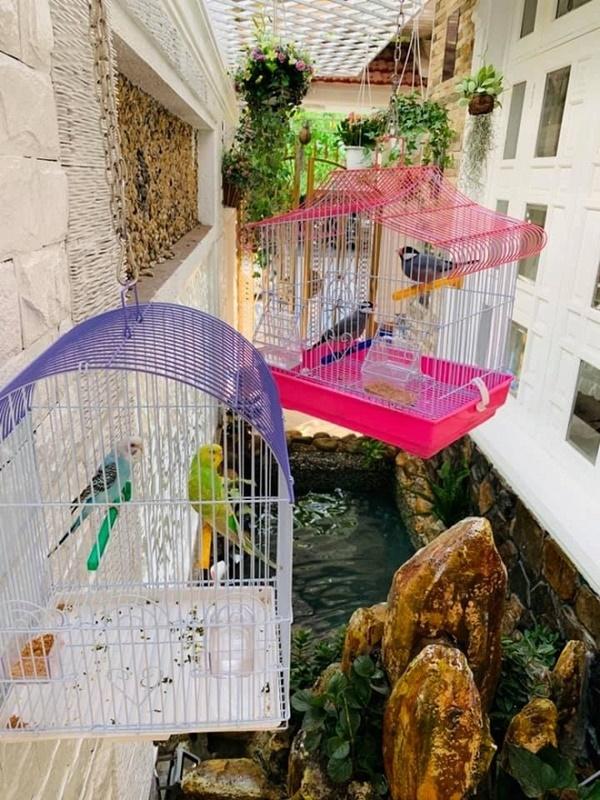 Biệt thự vài triệu đô ngập tràn sắc xuân của ca sĩ Vy Oanh-8