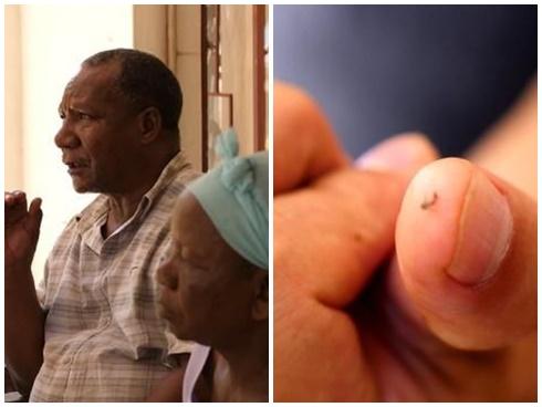 Kinh hãi món ăn từ ấu trùng bọ xít của người Ma Rốc