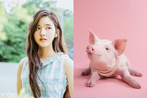 3 con giáp NẰM TRÊN ĐỐNG VÀNG, tiền ngập lối đi, phải sắm thêm két sắt để đựng tiền-2