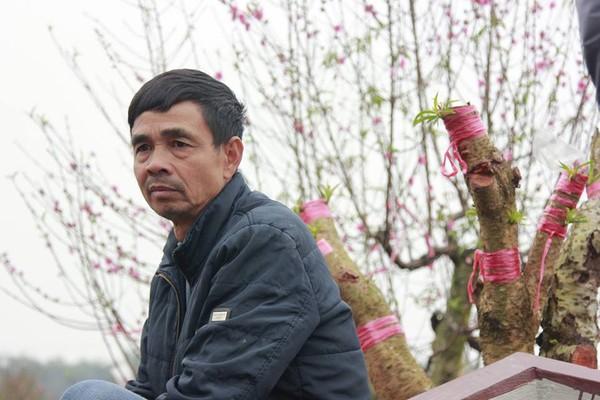 11 gia đình uất nghẹn vì bị chặt phá hàng trăm gốc đào bán Tết trong khi mải xem đội tuyển Việt Nam đá bóng-5