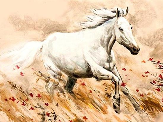 Tử vi tuổi Ngọ năm 2019: Công danh thăng tiến nhưng tình duyên lại tuột dốc