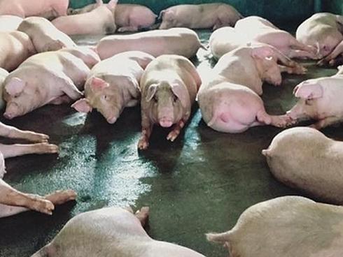 Dự báo thời tiết 21/1: Không khí lạnh tăng cường, miền Bắc rét đậm rét hại đến khi nào?-4