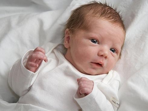 12 con giáp nên ăn gì vào mùng 1 Tết để phát tài cả năm?-8