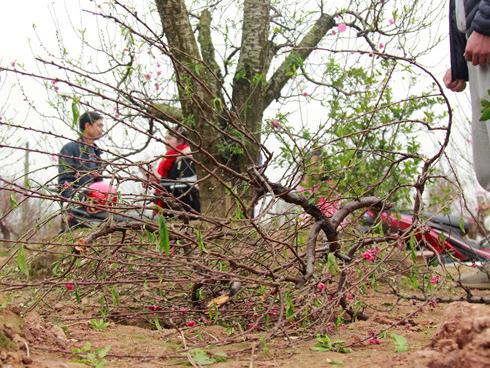 Nữ tài xế bị đâm chết trong ô tô, nghi phạm uống thuốc sâu tự tử-3