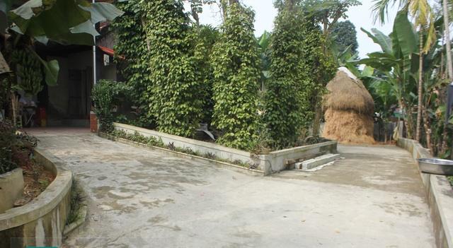 Chói lóa trên sân cỏ, sau tất cả Phượng lại về căn nhà cùng bố mẹ làm thợ xây khiến bao người thổn thức-3