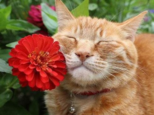 5 giấc mơ lạ là điềm báo trước về bệnh tật, tai ương mà rất ít người để ý. Cẩn trọng với số 1!-4