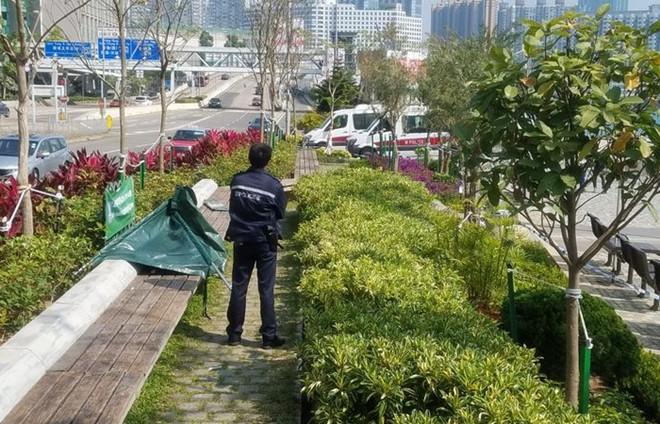 Diễn viên quần chúng TVB qua đời vì rét khi ngủ giữa công viên-1