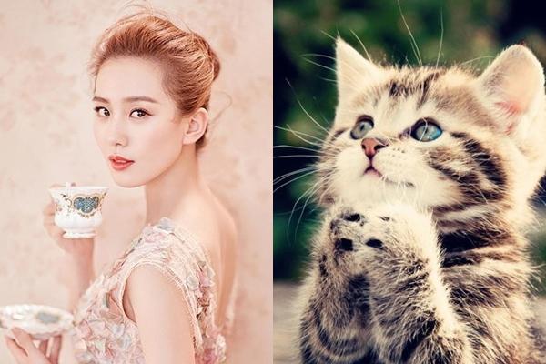 Cuối tháng 12 âm lịch, 3 con giáp này được THẦN TÀI yêu chiều hết mực, TIỀN BẠC chảy ào ào về túi-2