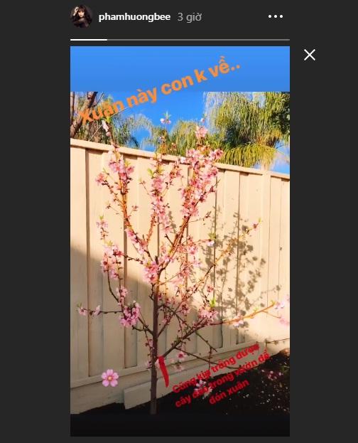 Giữa nghi án sang Mỹ dưỡng thai, Phạm Hương thông báo gây xôn xao: Xuân này con không về-4