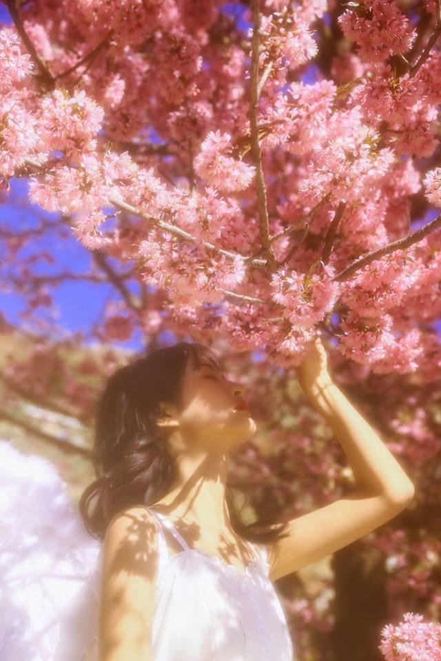 Tử vi tuần mới của 12 con giáp từ 28/1 – 3/2/2019: Thìn được vận đào hoa chiếu mệnh, Tỵ phải trải qua nhiều biến động-4