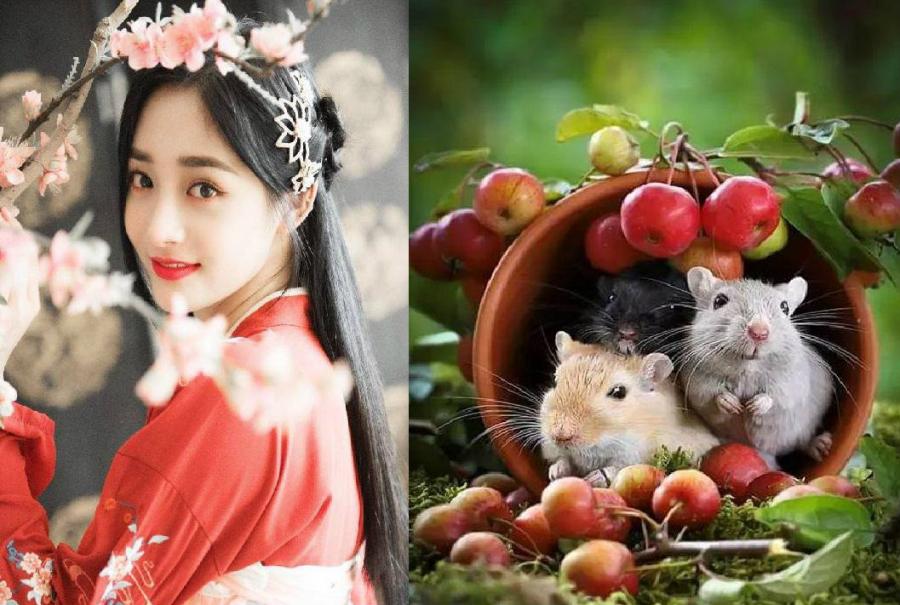 Tuất đi Hợi đến, 3 con giáp này ÂM THẦM GIÀU CÓ mà không biết, giữa năm tài vận bất ngờ bùng nổ-2