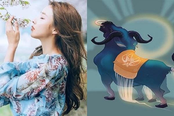 Chờ đến Tết Kỷ Hợi 2019, 4 con giáp này chuẩn bị tinh thần BÙNG NỔ: Tài lộc trĩu tay - vận may đầy nhà-3