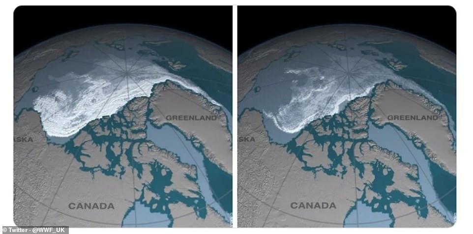 Trào lưu 10 năm thay đổi và sự thật đau lòng khi Trái đất đã biến đổi quá nhiều-6