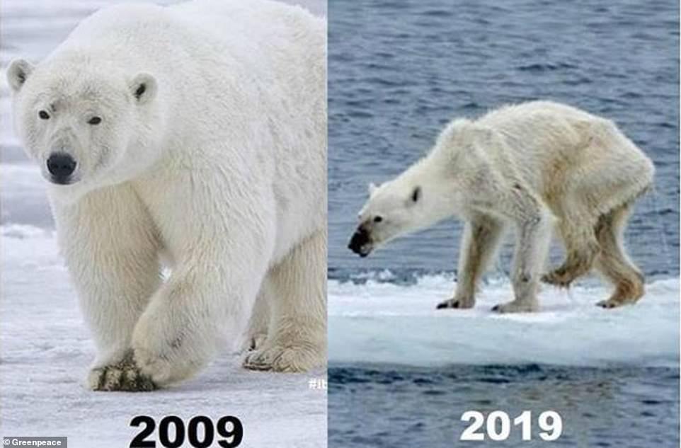 Trào lưu 10 năm thay đổi và sự thật đau lòng khi Trái đất đã biến đổi quá nhiều-7