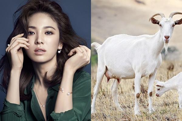 4 con giáp sẽ được nhận tiền LÌ XÌ mỏi tay trong dịp Tết 2019-2