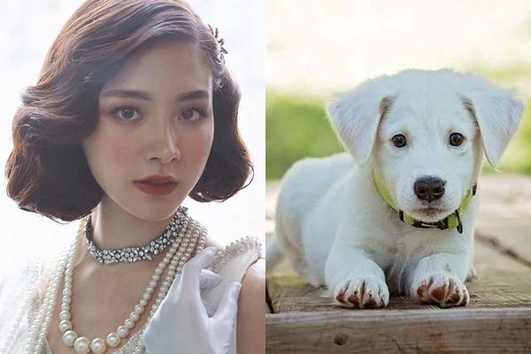 4 con giáp sẽ được nhận tiền LÌ XÌ mỏi tay trong dịp Tết 2019-4