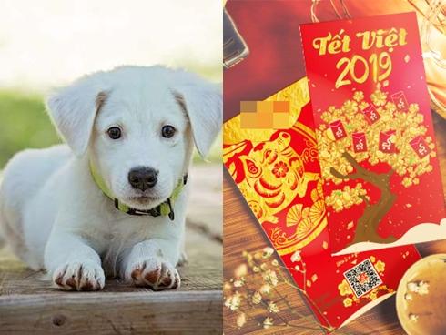 4 con giáp sẽ được nhận tiền LÌ XÌ mỏi tay trong dịp Tết 2019