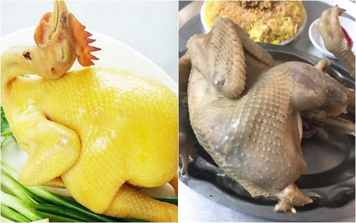 Tin tưởng nhờ chị Google bày cách luộc gà, cô gái nhận được thành quả cười ra nước mắt-2