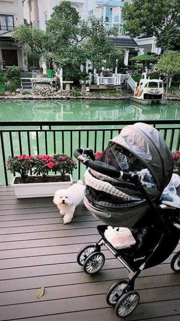 Chỉ là khoe Tết đến cửa thôi mà Á hậu Tú Anh khiến dân tình trầm trồ: Nhà ở đâu sang chảnh thế?-5