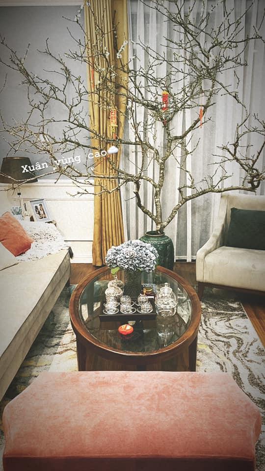 Chỉ là khoe Tết đến cửa thôi mà Á hậu Tú Anh khiến dân tình trầm trồ: Nhà ở đâu sang chảnh thế?-7