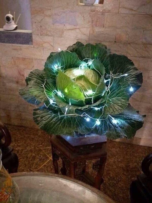 Đào, mai đã là dĩ vãng, rau củ mới là hot trend cây cảnh của dịp Tết 2019-2