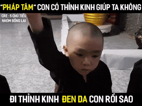 Tịnh thất Bồng Lai nơi nuôi dưỡng 5 chú tiểu bị 50 người lạ đập phá, một sư thầy bị đánh chảy máu-4