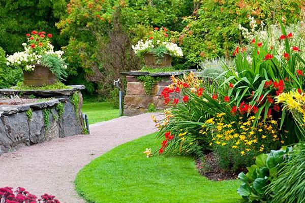 Từ chối sắm Tết, nàng dâu sững sờ vì hành xử của bố chồng-1