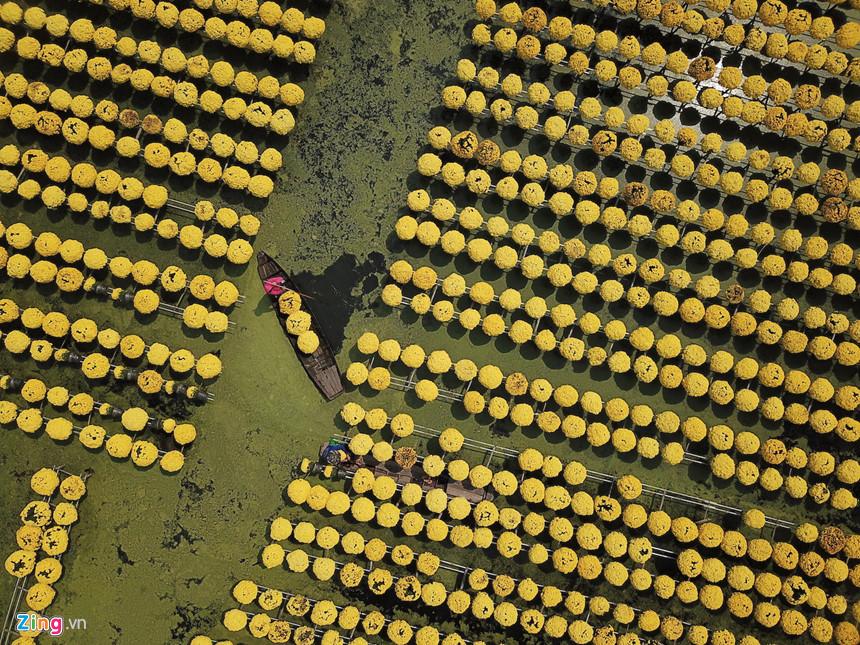 Vương quốc hoa miền Tây những ngày giáp Tết-3