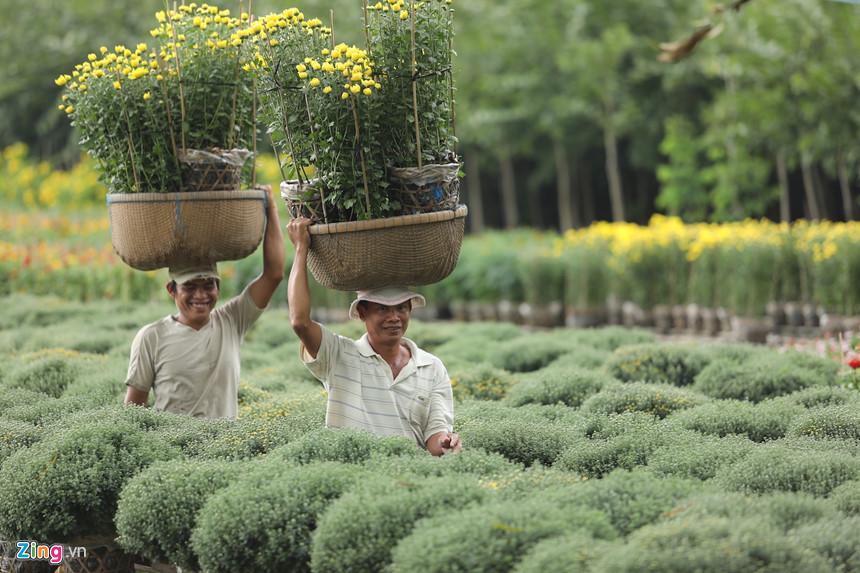 Vương quốc hoa miền Tây những ngày giáp Tết-6