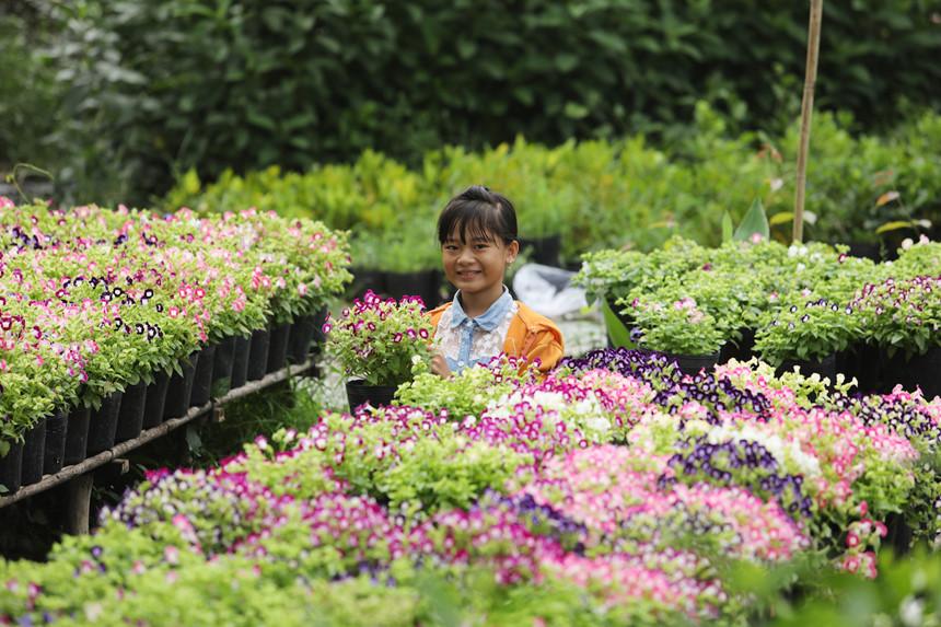 Vương quốc hoa miền Tây những ngày giáp Tết-10