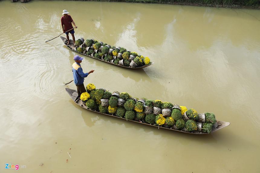 Vương quốc hoa miền Tây những ngày giáp Tết-11