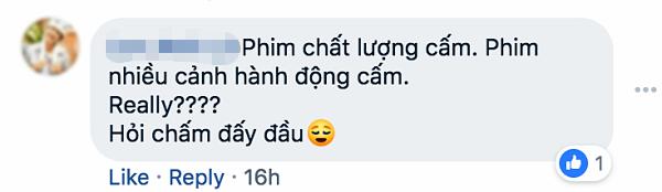 Ngô Thanh Vân: Không có việc phim Hai Phượng bị cấm chiếu ở Việt Nam-3