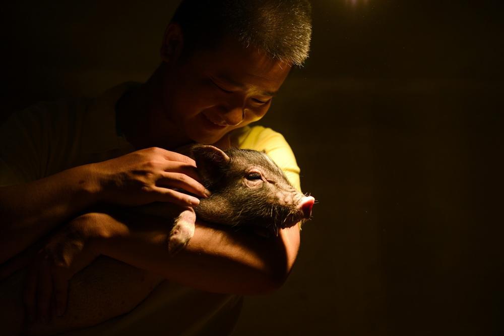 Công viên Hành tinh Lợn ở Trung Quốc hút khách dịp năm mới-9