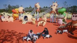Công viên 'Hành tinh Lợn' ở Trung Quốc hút khách dịp năm mới