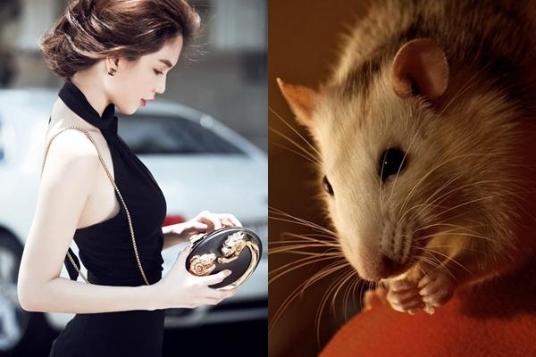 Đúng mùng 1 Tết Nguyên Đán, những con giáp này sẽ MỘT BƯỚC LÊN TIÊN, ĐẠI CÁT ĐẠI LỢI-1