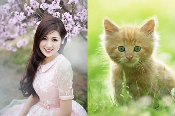 Đúng mùng 1 Tết Nguyên Đán, những con giáp này sẽ MỘT BƯỚC LÊN TIÊN, ĐẠI CÁT ĐẠI LỢI-2